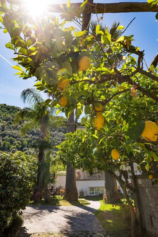Bed and Breakfast Casa Beatrice Sorrent Exterior foto